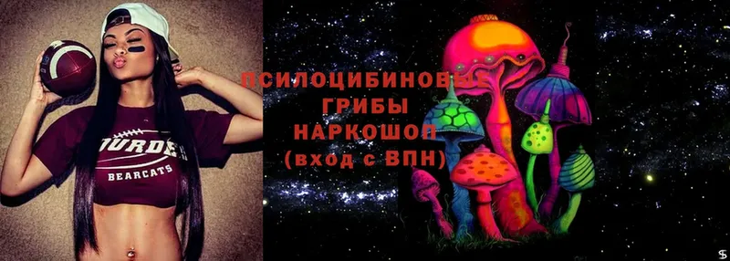 Галлюциногенные грибы MAGIC MUSHROOMS  где продают   Элиста 